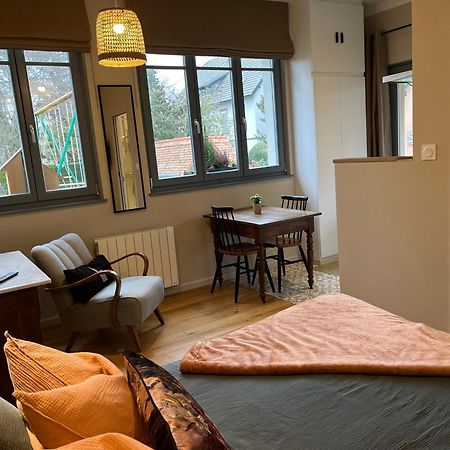 Studio De Charme Avec Terrasse Privee, Jardin Partage Bouxwiller  Экстерьер фото