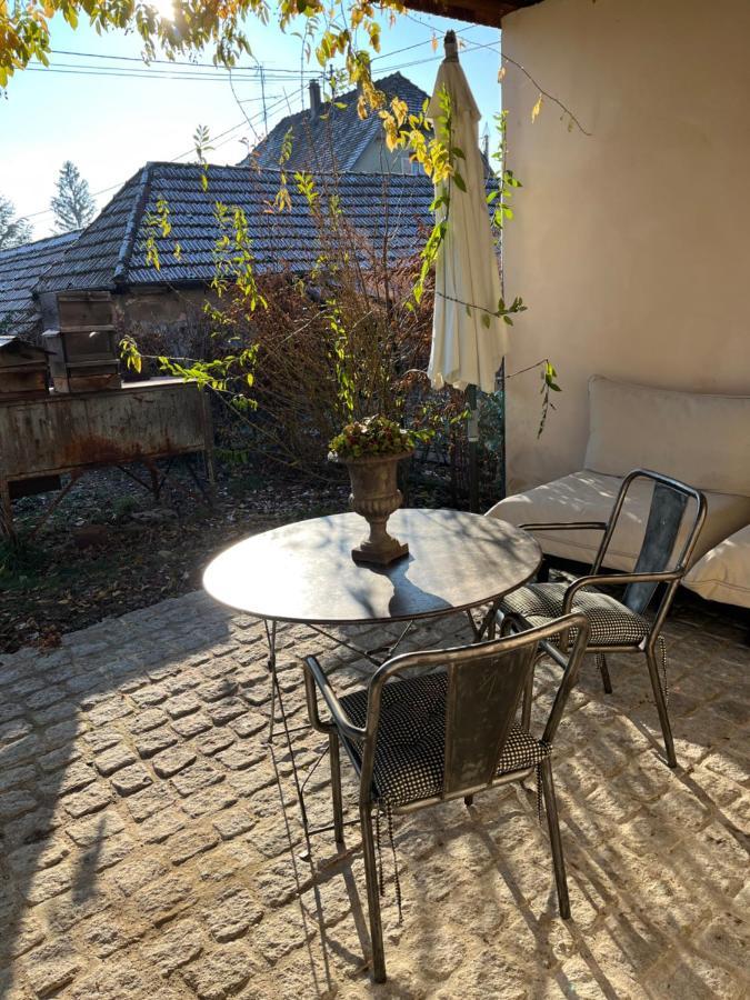 Studio De Charme Avec Terrasse Privee, Jardin Partage Bouxwiller  Экстерьер фото